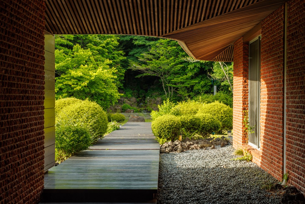 제주 포도호텔 이미지 5