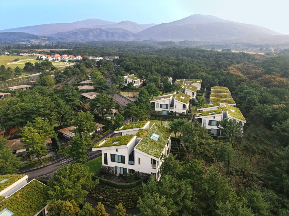 엠버 퓨어힐 호텔 앤 리조트 제주 이미지 8