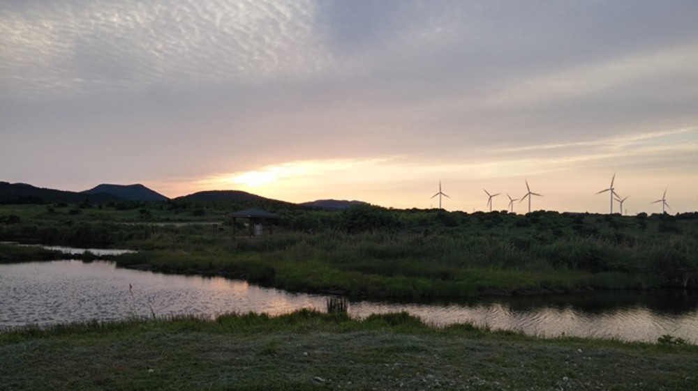 메모리 이미지 3