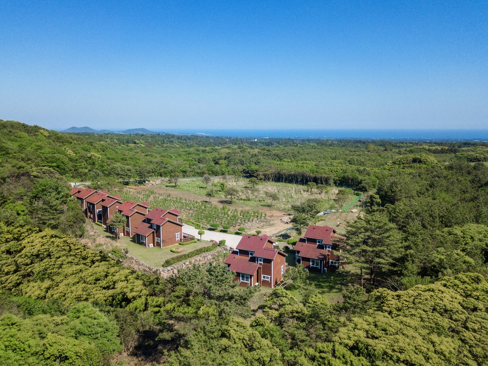 제주수망펜션 이미지 4