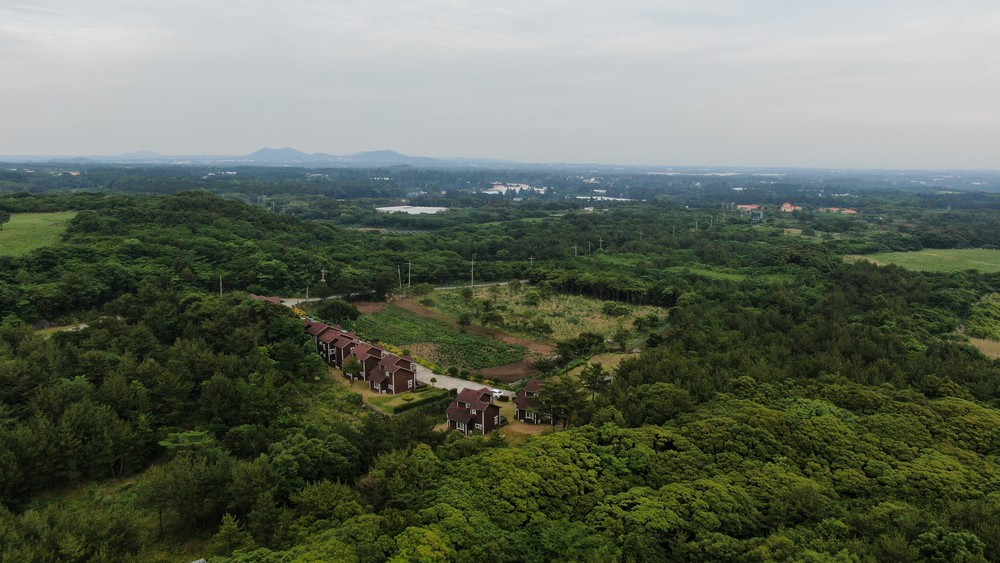 제주수망펜션 이미지 3