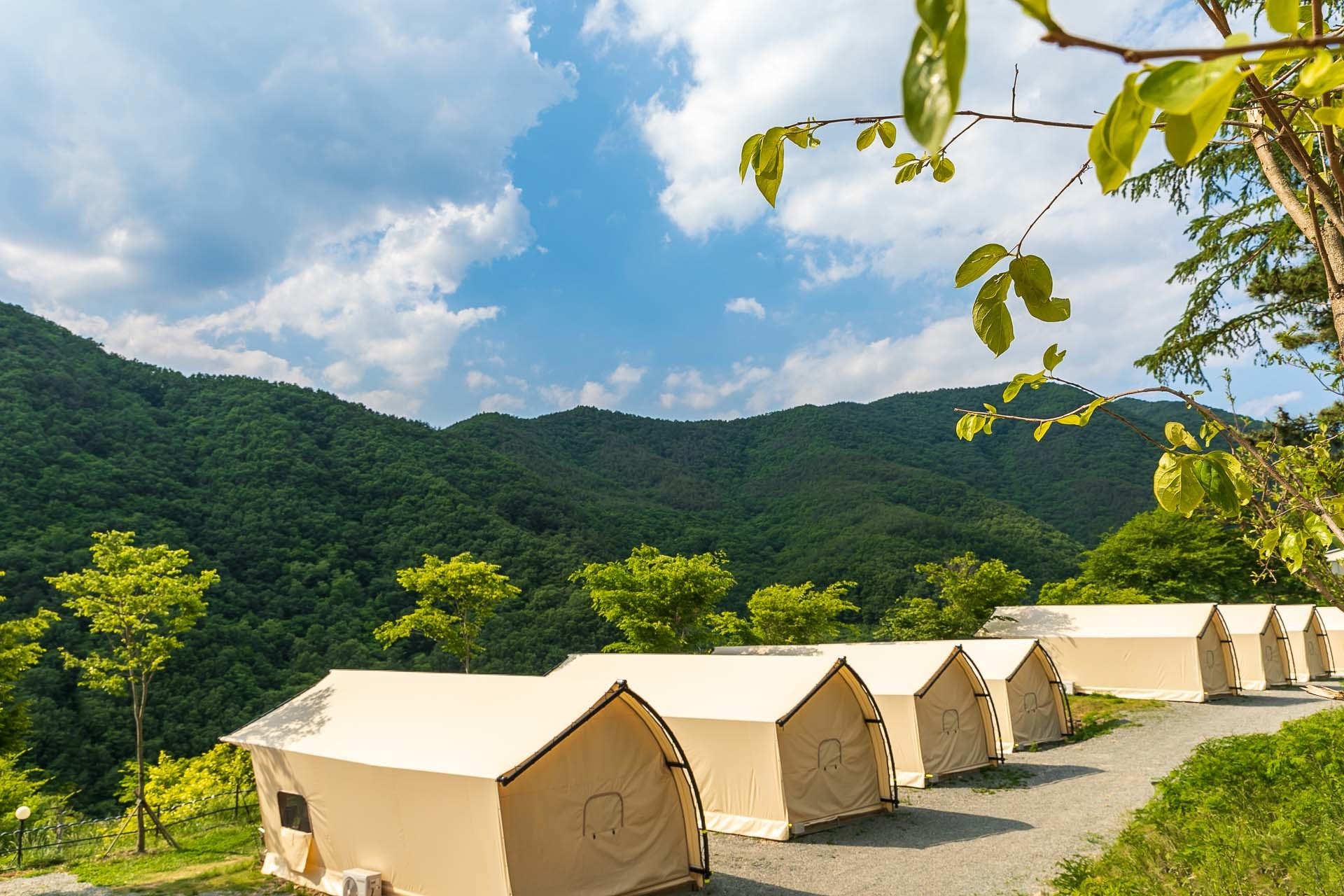 경주 오글오글 글램핑