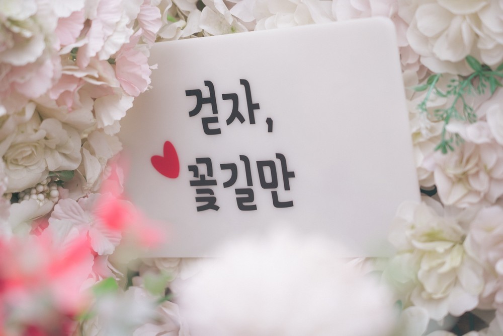 제주애견전문 엔젤하우스펜션 이미지 59