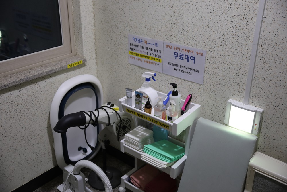 제주애견전문 엔젤하우스펜션 이미지 32
