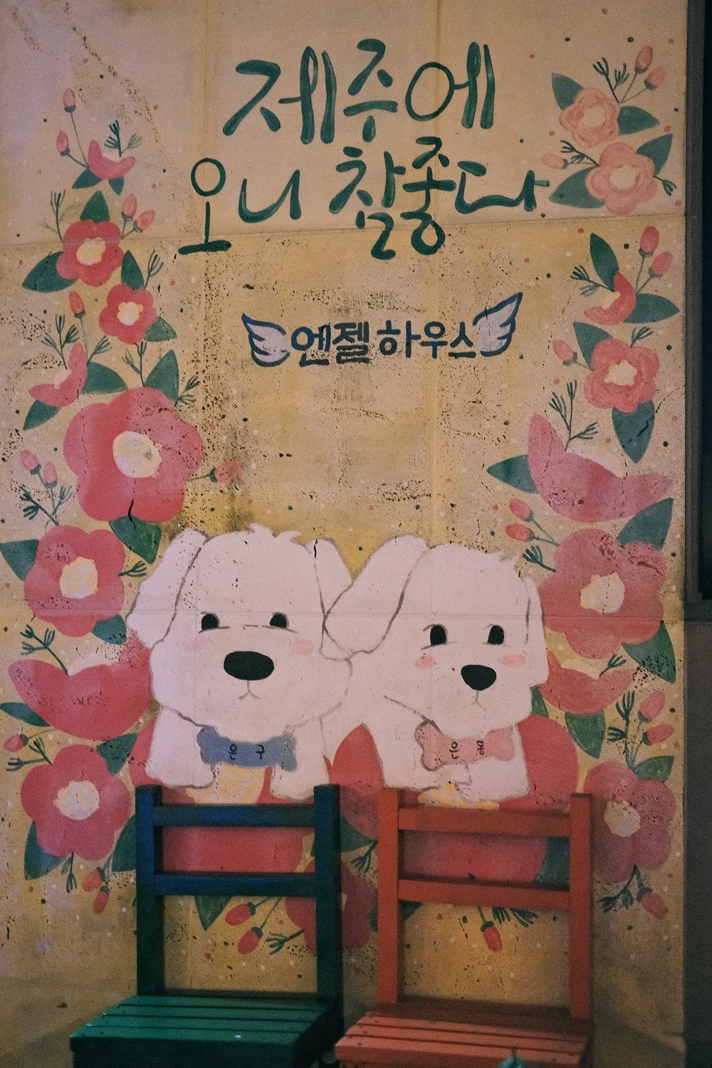 제주애견전문 엔젤하우스펜션 이미지 67