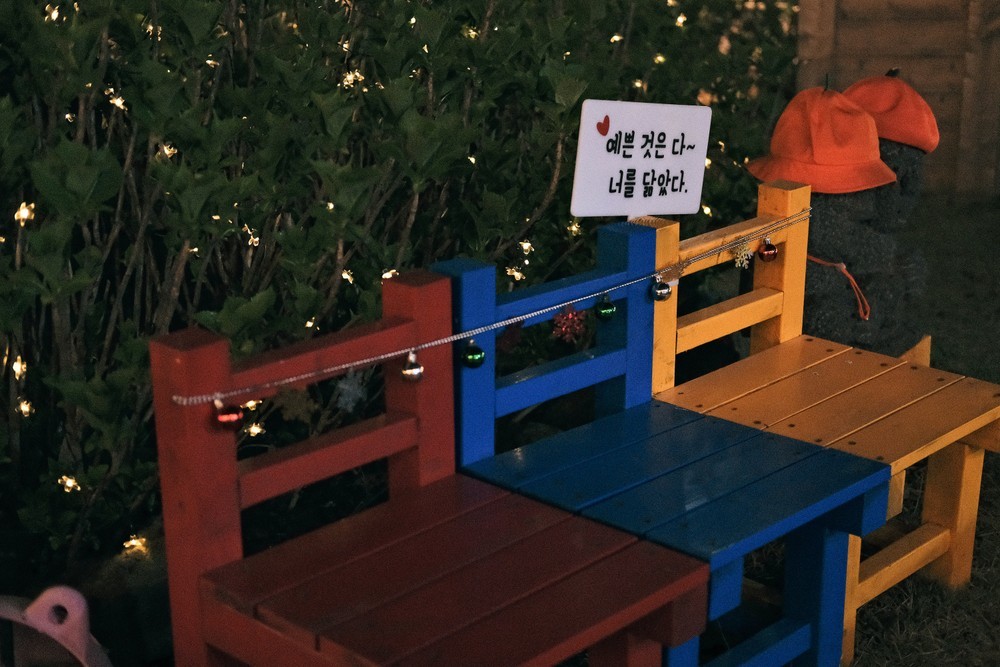 제주애견전문 엔젤하우스펜션 이미지 69