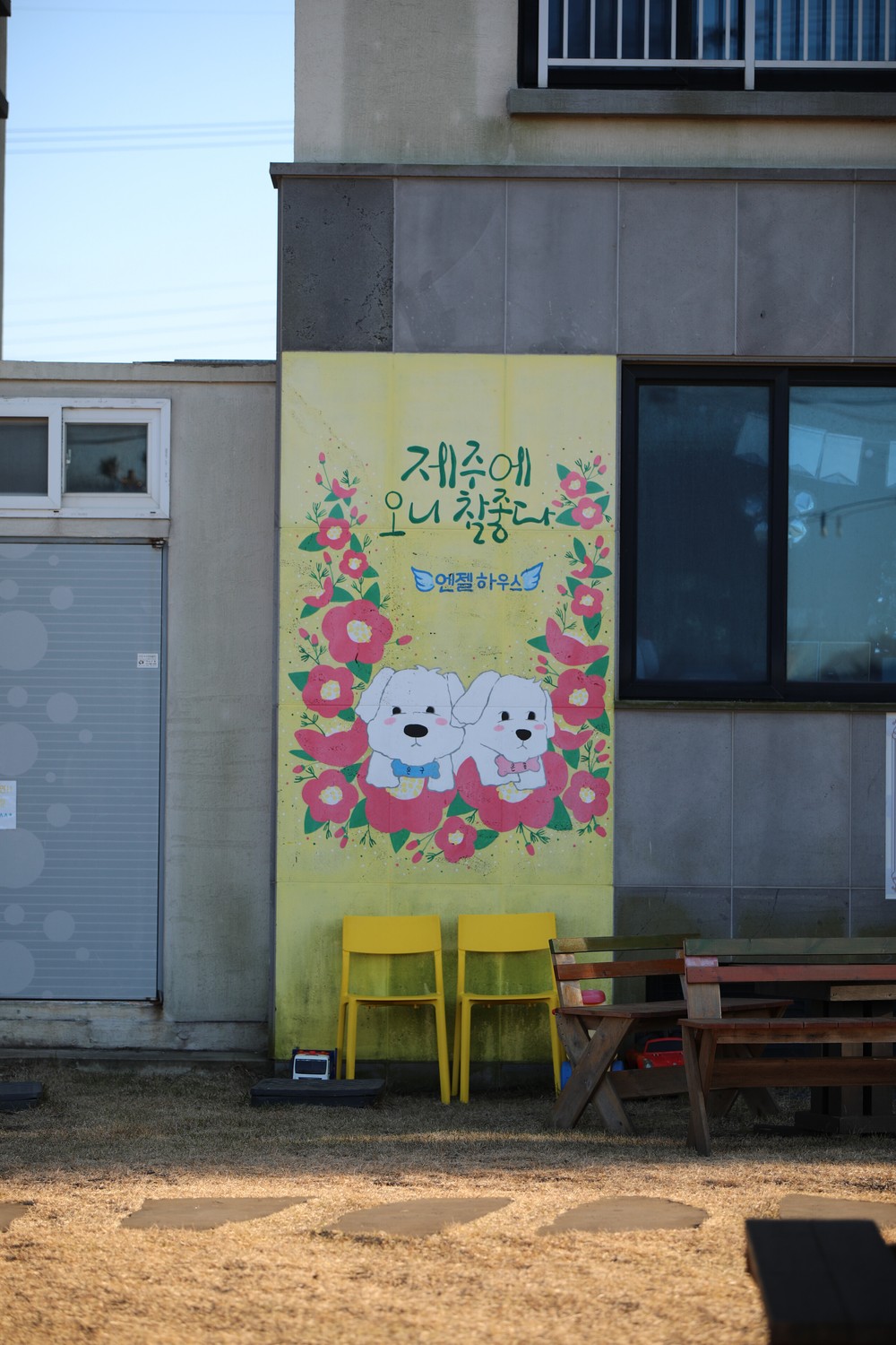 제주애견전문 엔젤하우스펜션 이미지 42