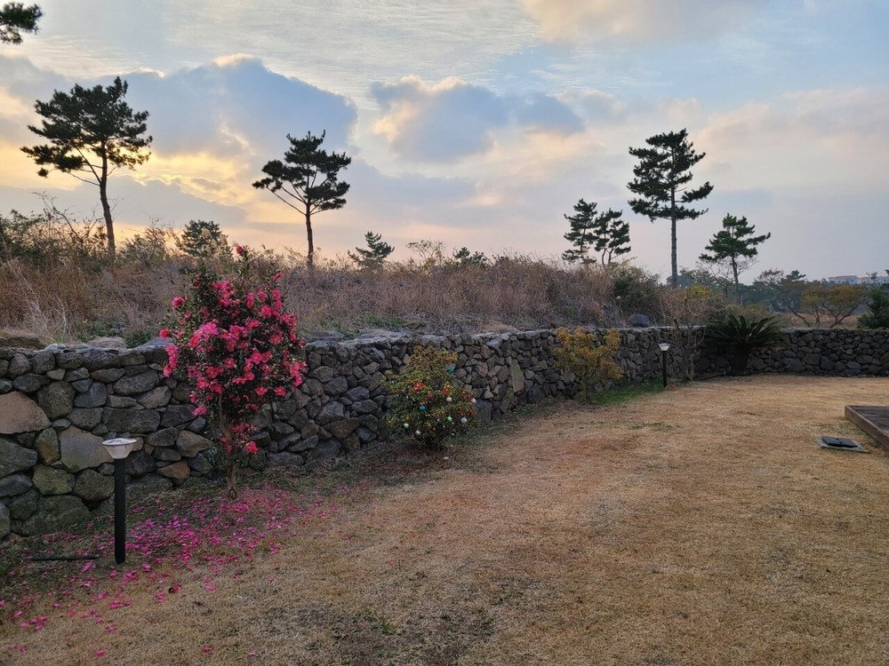제주 시아하우스 협재점 독채펜션 이미지 21