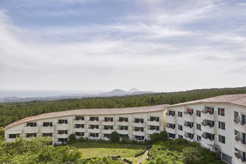 이에스리조트 제주 이미지 7