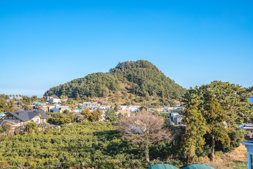 서귀포 휘게101 더스테이 이미지 16