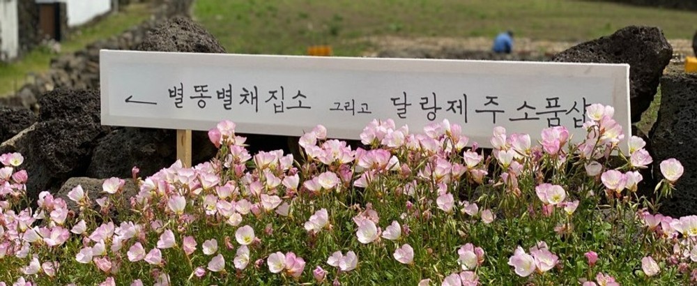 제주 별똥별채집소 이미지 25