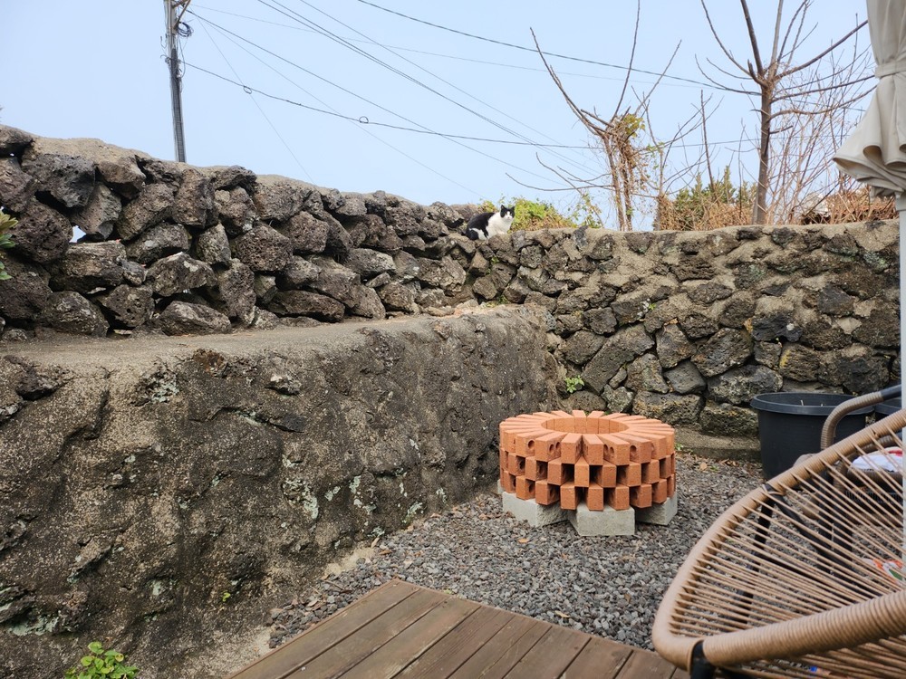 제주 별똥별채집소 이미지 17