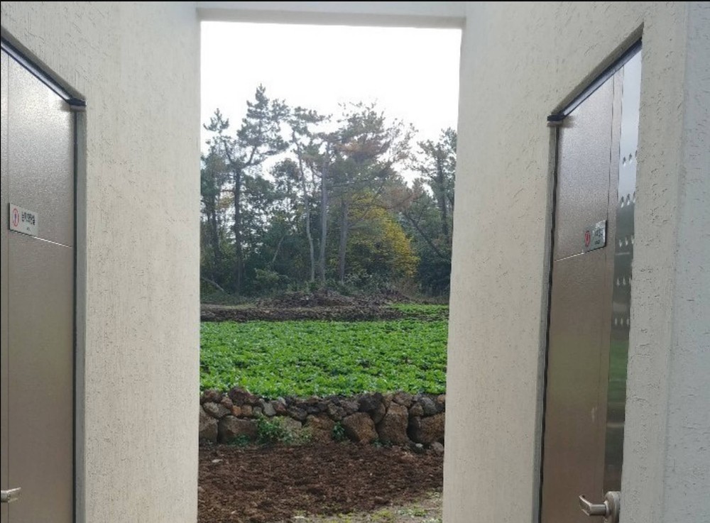 제주 비자림베리멍 펜션 이미지 2