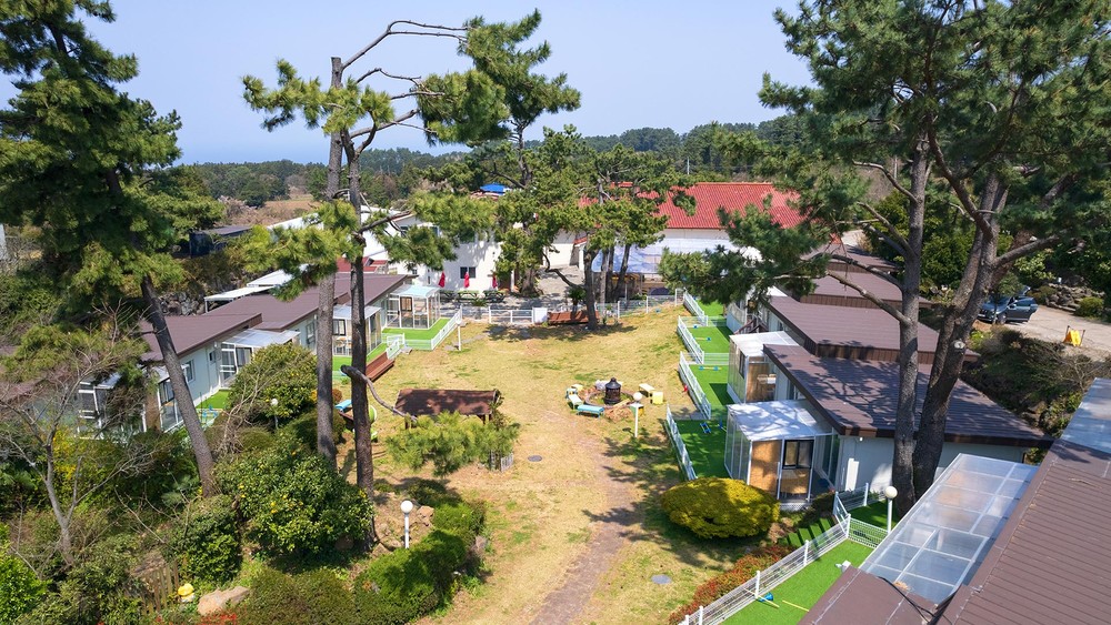 제주댕댕이파크 리조트 이미지 4