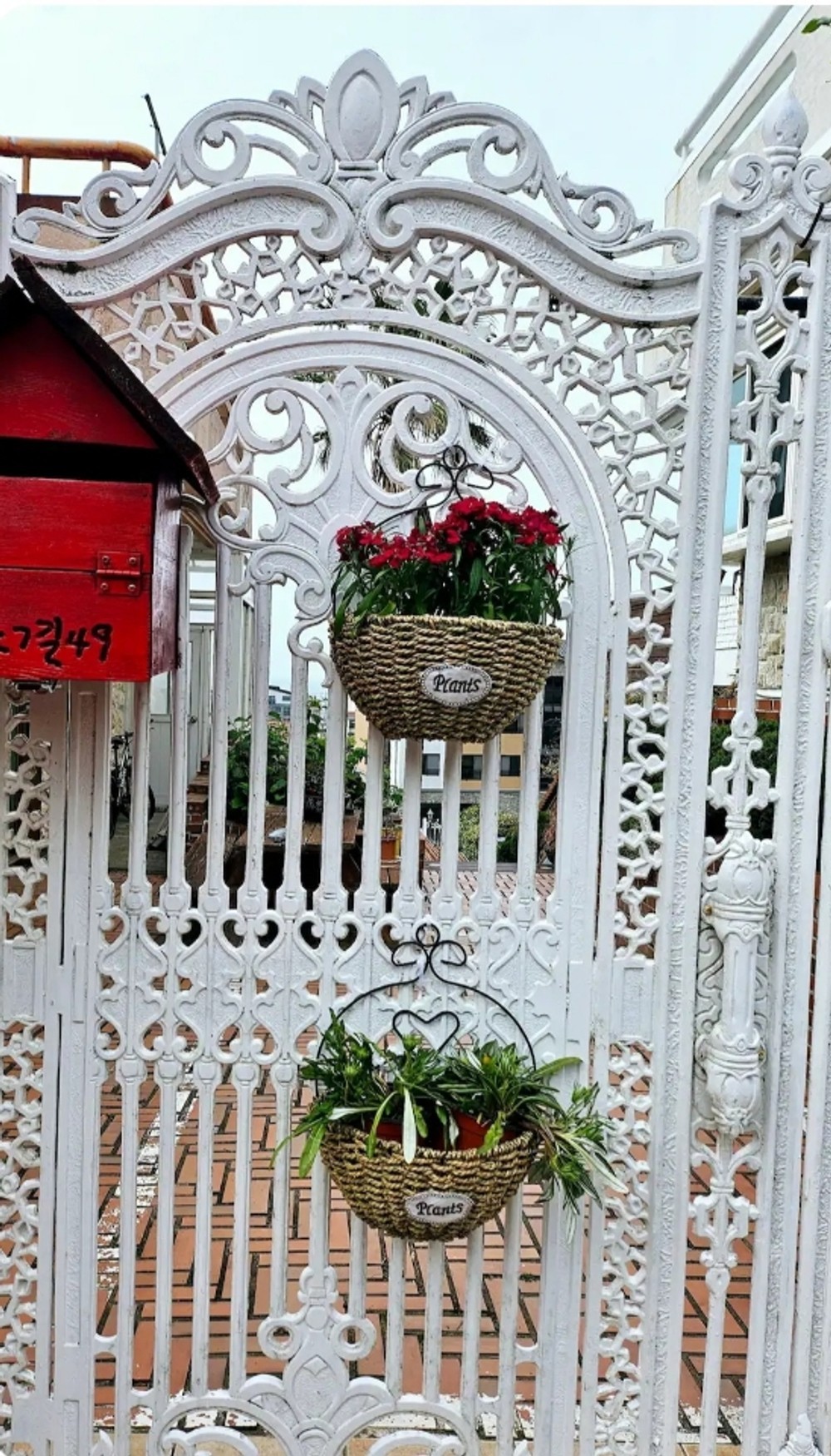 제주 바담정 이미지 12