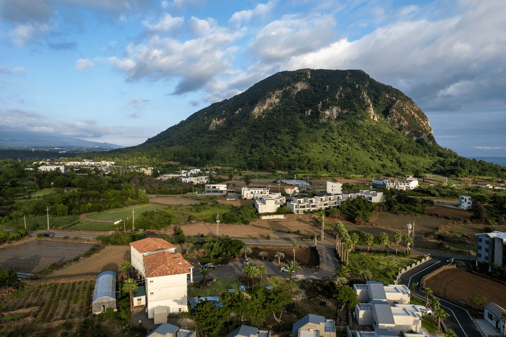 제주 다온재 사계점 이미지 9