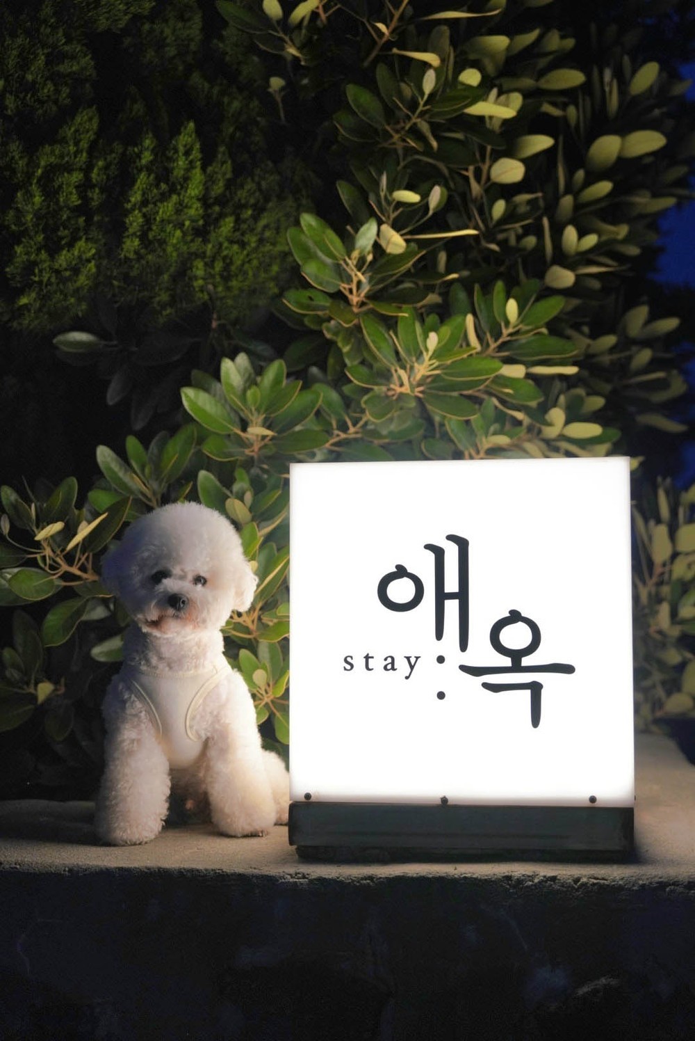 제주 스테이애옥 이미지 2