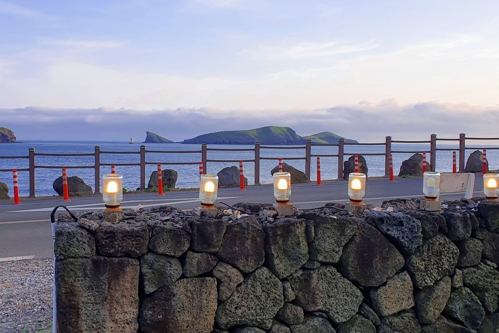 제주늘보의오후 이미지 4