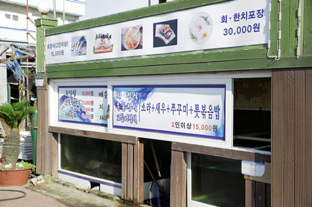 올레해비치 이미지 4