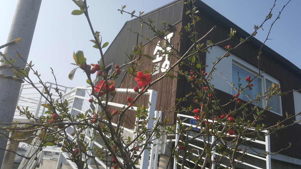 제주 소풍펜션 이미지 14