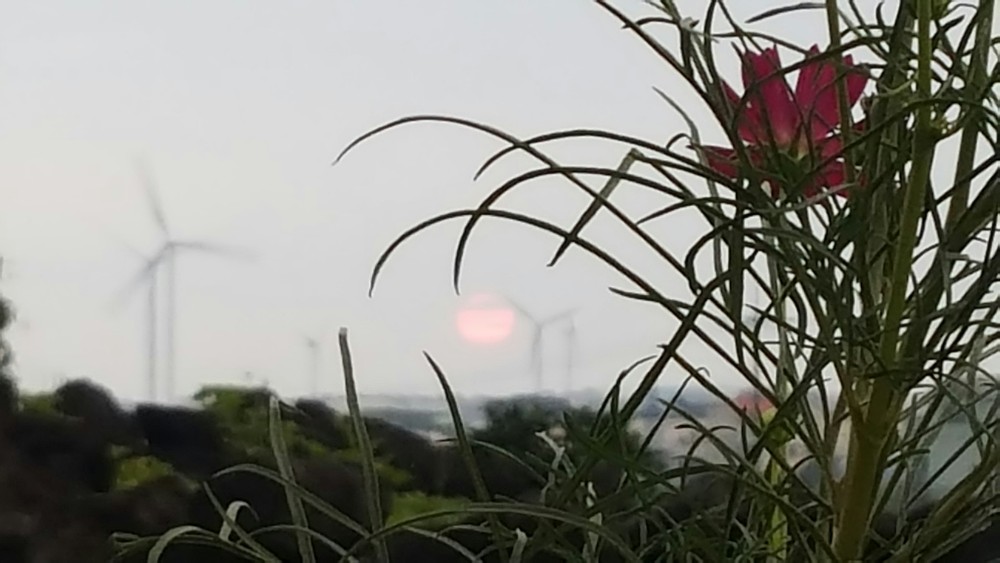 제주 소풍펜션 이미지 6
