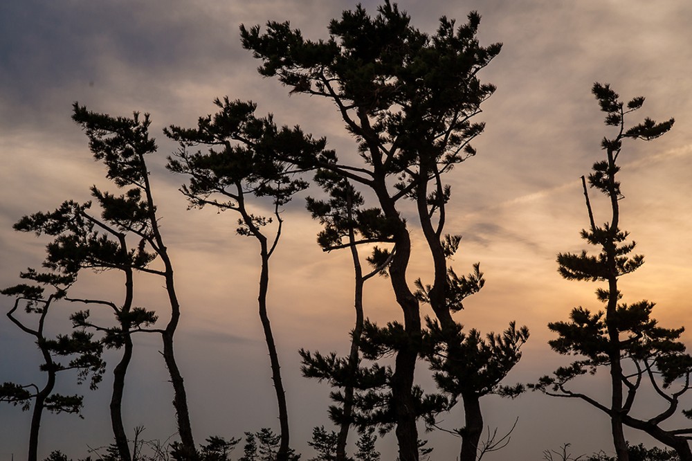 제주 소풍펜션 이미지 11