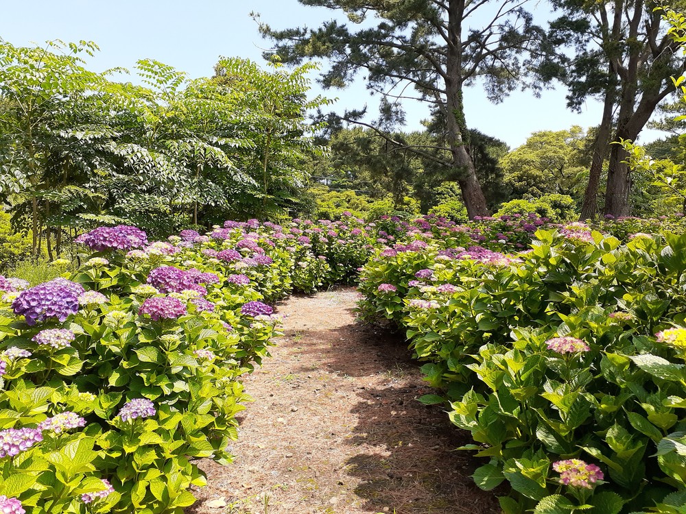 애월한옥펜션 이미지 16