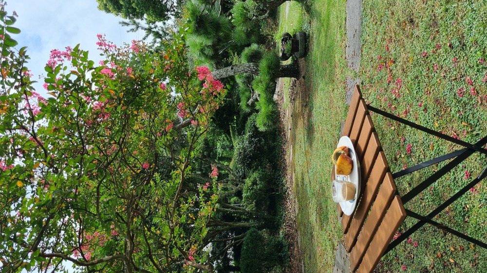 대흘샬레펜션 이미지 23