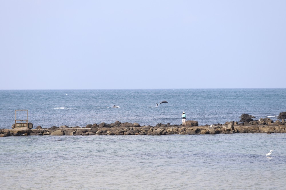 제주 도구리3083 돌고래뷰 오션뷰 이미지 10