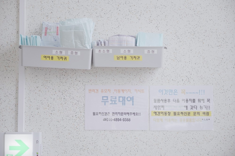 A타입(퀸침대,반려견무료입실)1 이미지 12